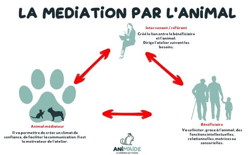 la-mediation-par-l-animal