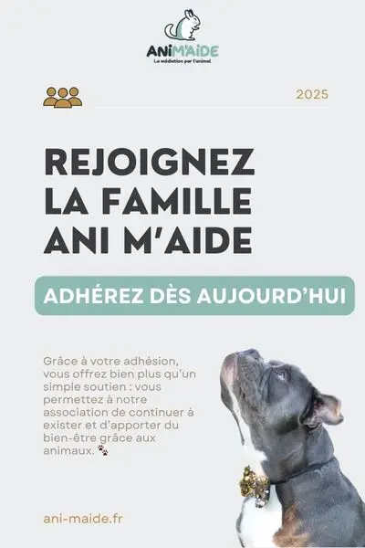 adhésion animaide